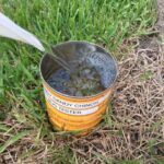 Ken’s Quick Tip: How to Kill, Control & Prevent Chinch Bugs in your Lawn