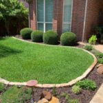 Who are the best lawn care service companies in North Dallas?