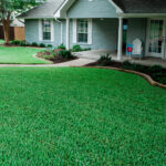 Do this in Fall and Winter for a Healthy Lawn in Spring