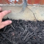 How to Properly Install Mulch in Your Landscape Inbox