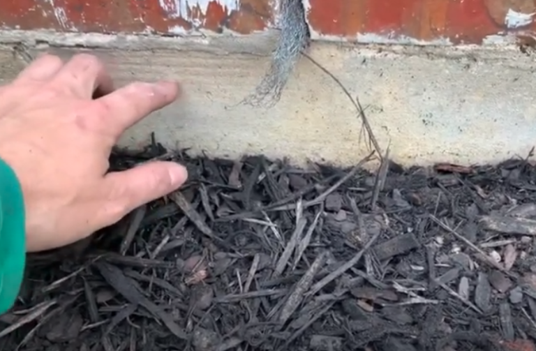 How to Properly Install Mulch in Your Landscape Inbox Village Green