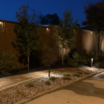 Everything You Need To Know About Landscape Lighting – Night Version