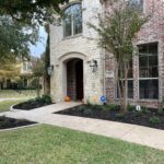 Taming an Overgrown Landscape in West Plano