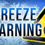 Important Freeze Warning & Tips to Protect Your Plants Damage