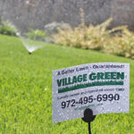 Summer is Here: Get Your Free Summer Lawn Watering Guide