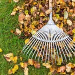 Fall Watering Essentials: Reset Your Sprinklers for North Texas Autumn