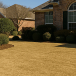 Winter Lawn Do’s and Don’ts for Plano & North Texas (2025 Guide)
