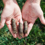 Lawn Aeration in North Texas: The Most Overlooked Step in a Healthy Lawn