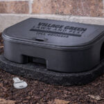 Rodent Problems in Winter: Why North Texas Homes Are at Higher Risk