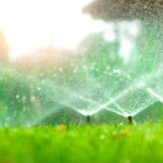 How Much Should You Water Your Lawn in Spring?