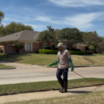 Why Is My Lawn Brown in Spring When My Neighbor’s Is Already Green?