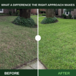 Why Most Lawn Care Fails — And What a Real Diagnosis Looks Like