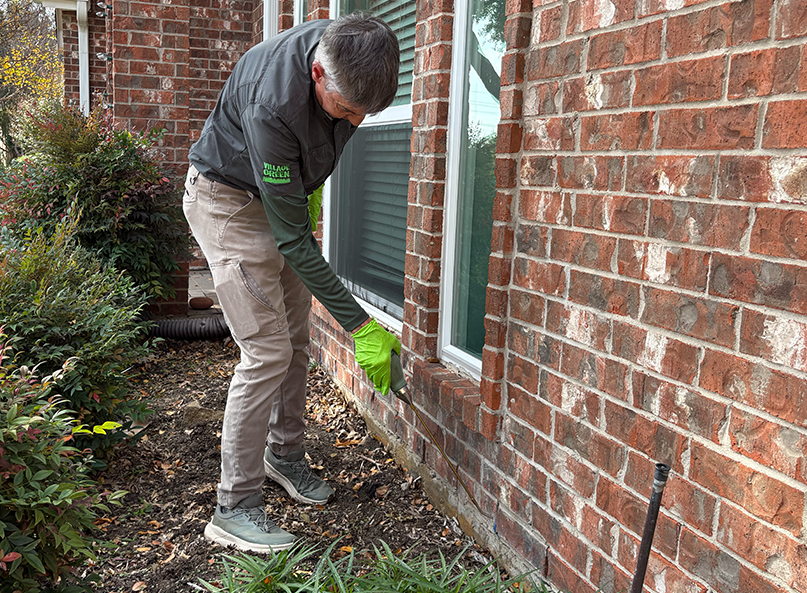 Pest control technician treating brick weep holes with silica dust to prevent insects from entering wall voids.