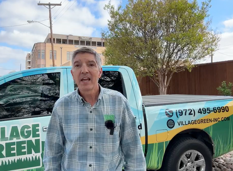 Ken Hyatt, founder of Village Green Lawn and Pest, explaining why weeds keep coming back — filmed in downtown Plano, TX