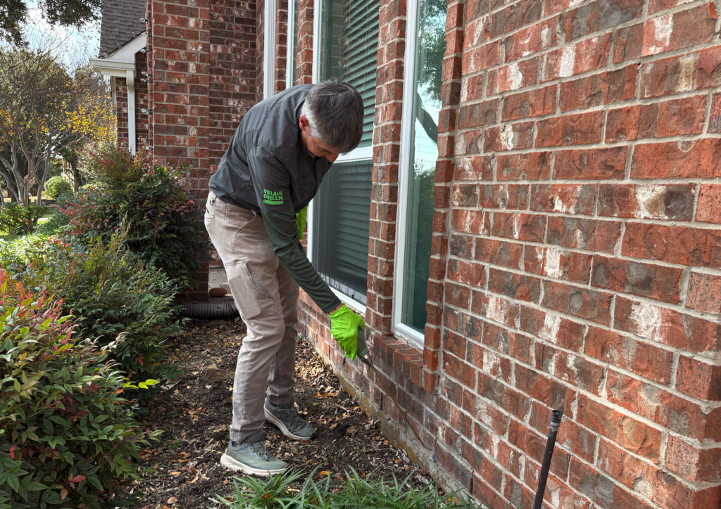 Village Green technician applying pest control treatment at the base of a brick home exterior near a window, wearing green gloves and a Village Green jacket, North Texas residential neighborhood visible in the background