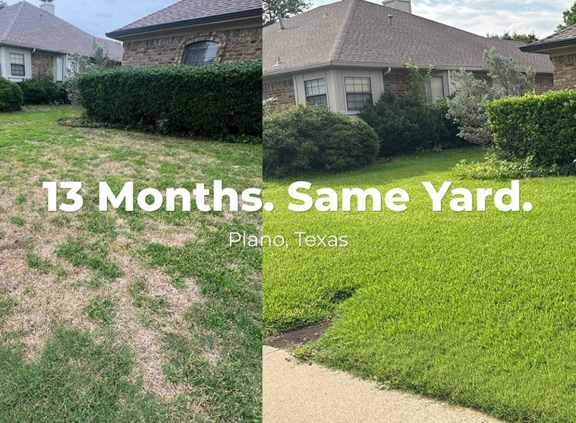 Before and after photo showing the transformation of a Plano, Texas lawn in just 13 months.