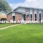 Description of a healthy and thriving Plano Texas lawn after two years of lawn health with Village Green.