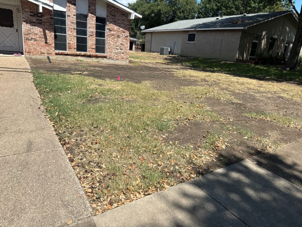 Photo showing a bad and unhealthy lawn in Plano Texas when they first called Village Green. The lawn is bare in spots with a lot of weeds and damage.