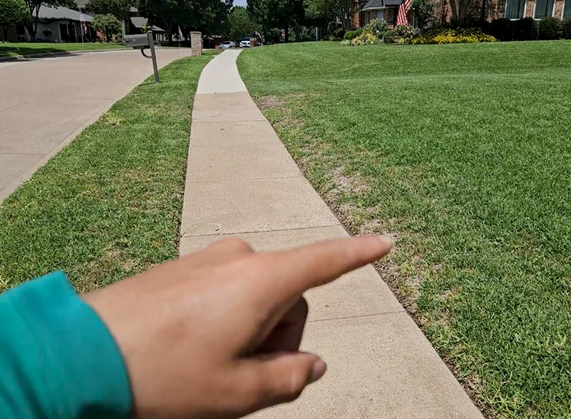 Lawn health technician showing drought stress in Plano Texas lawn.