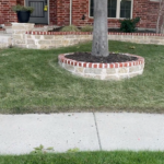 Identifying drought stress in zoysia lawn in Plano, Texas