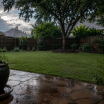 Plano Texas lawn after a summer rain shower.