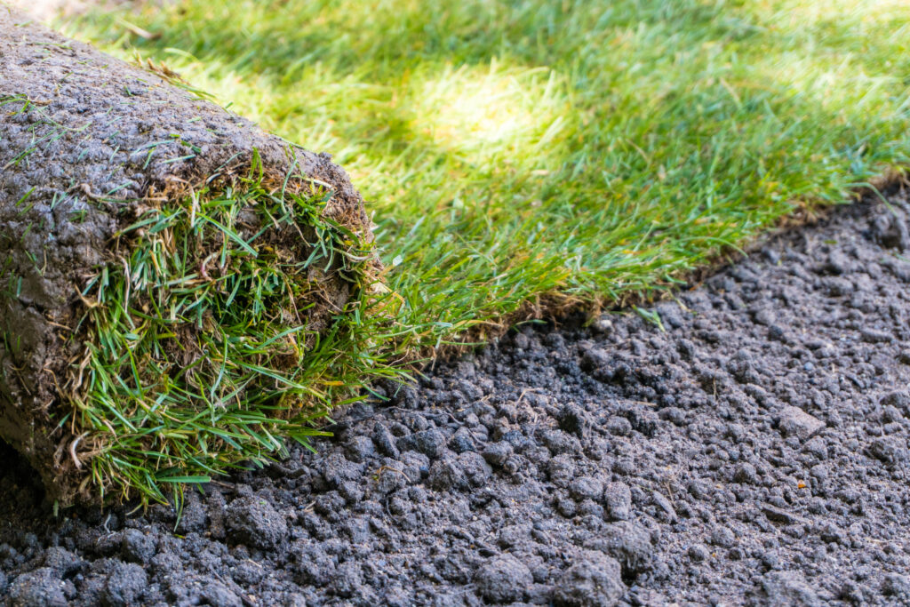 New sod being installed in a lawn in Richardson Texas.