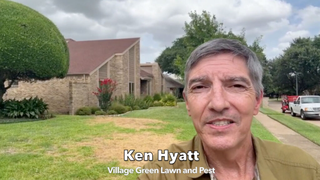Ken Hyatt, Founder and President of Village Green Lawn and Pest in Plano in a customer's lawn in Plano, Texas.
