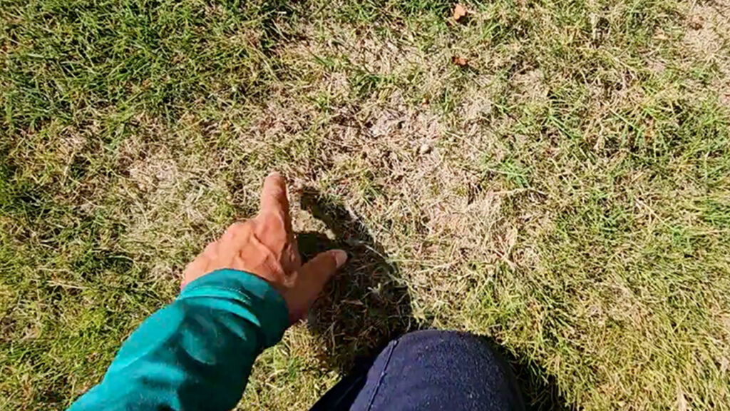 Photo of Luis Morales, Village Green Lawn Technician showing a customer the problem in their lawn with a photo documentation during his lawn health visit.