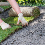 New sod being installed in a back yard