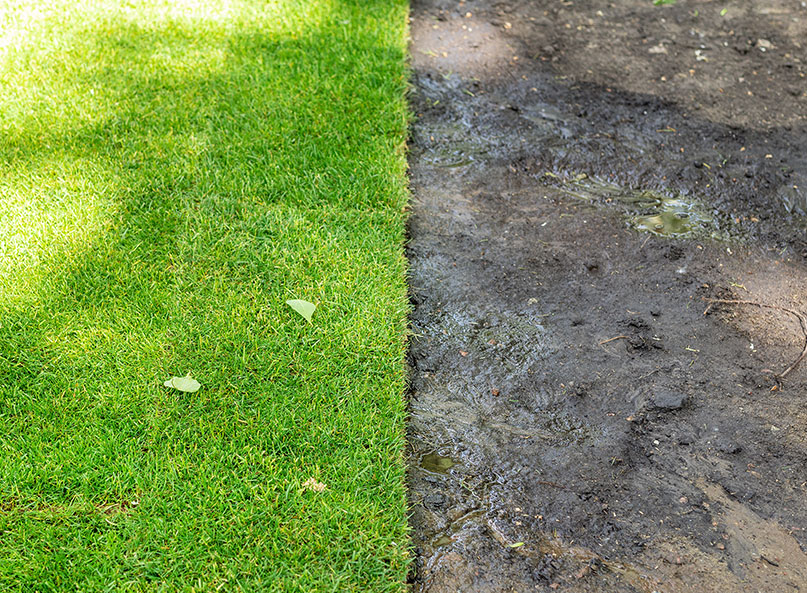 Lawn with new sod and showing the dirt that was there before it was installed.