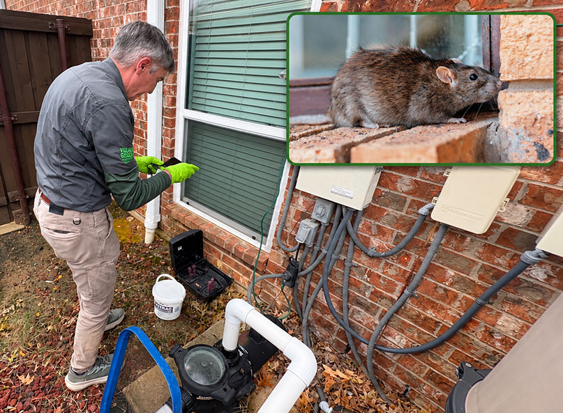 Ken Hyatt of Village Green photographing an exterior rodent bait station at a North Texas home, with a rat photo inset