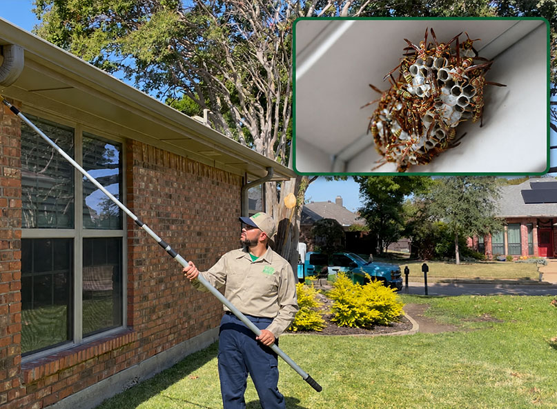 Village Green technician Luis Moreno using an extension-pole duster at the eave of a North Texas home, with a wasp nest inset