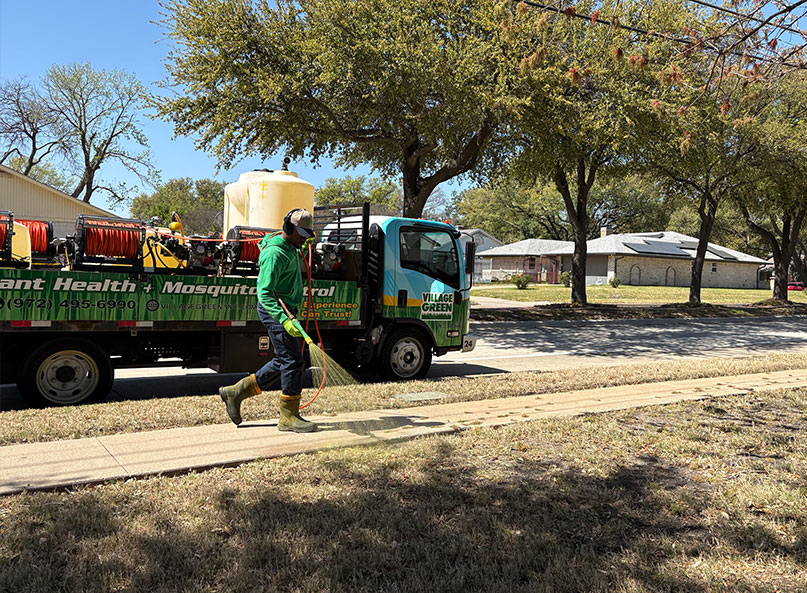 Village Green technician spraying a dormant brown lawn in North Texas, company truck at the curb