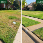 Richardson, Texas lawn before and after: thin, weedy, drought-stressed grass in August 2024; thick, even green grass in August 2026