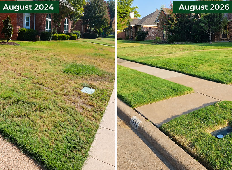 Richardson, Texas lawn before and after: thin, weedy, drought-stressed grass in August 2024; thick, even green grass in August 2026