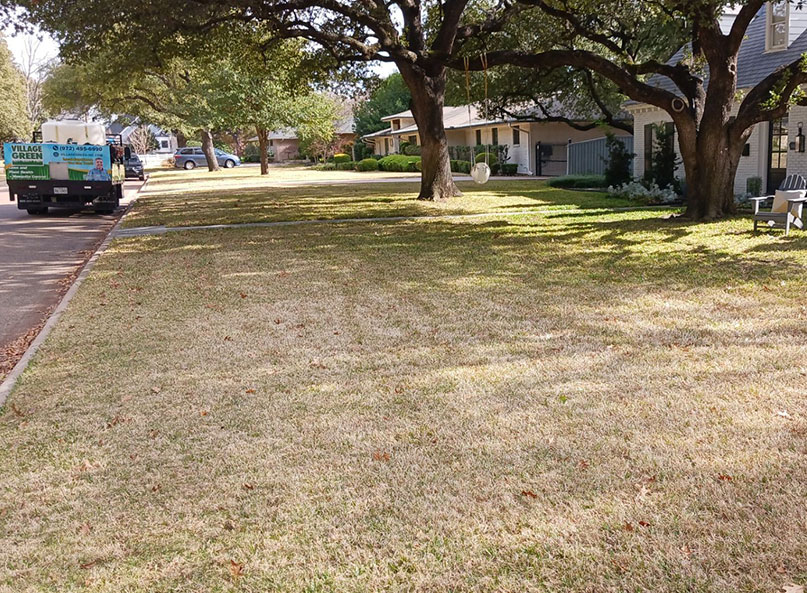 Village Green truck parked beside a dormant lawn on a tree-lined North Texas street in winter.