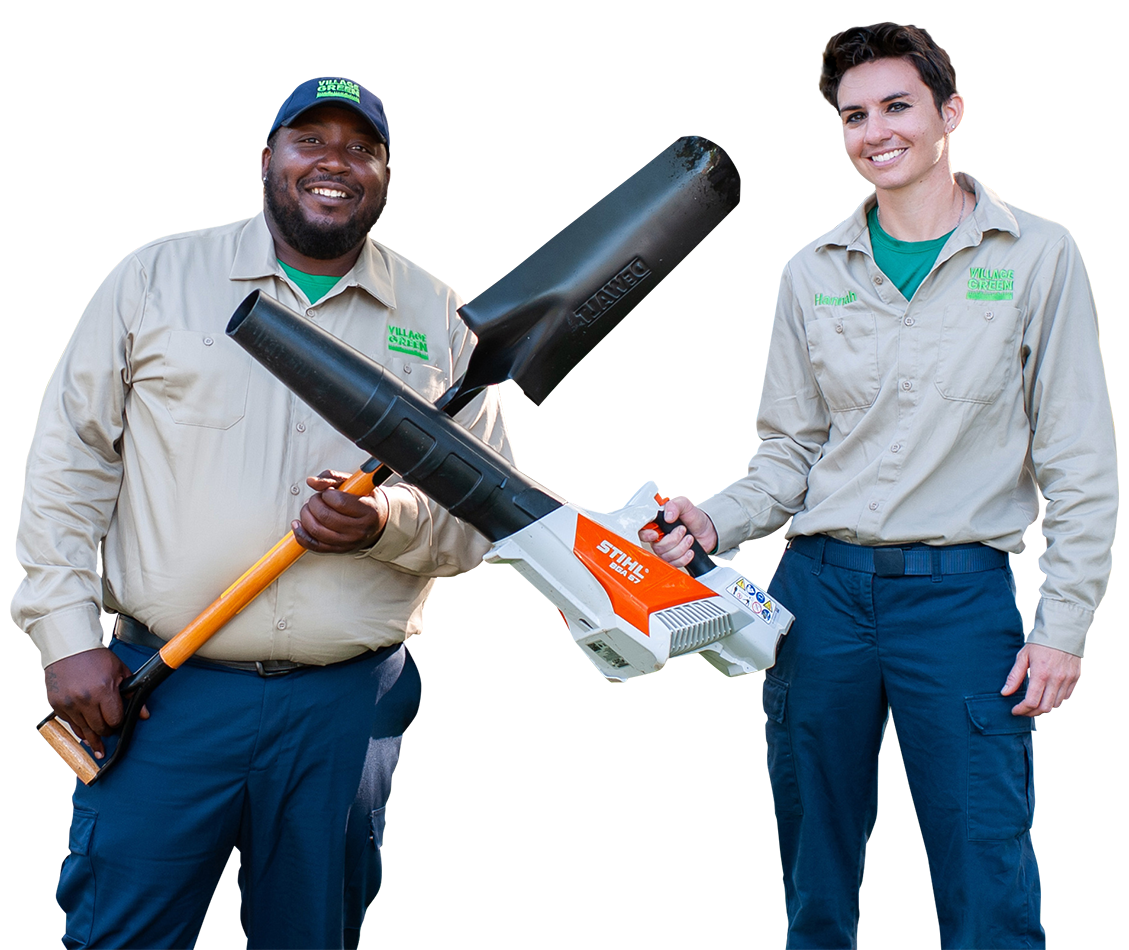 hire5talle hire5talle